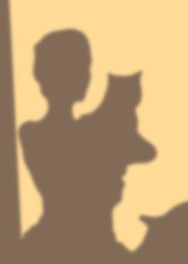 Shadow of person holding a cat
