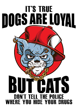 Dogs Loyal, Cats Hide Drugs
