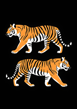 Two Tigers Walking on Black Background