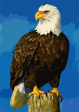 Bald Eagle Painting