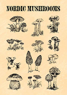 NORDIC MUSHROOMS