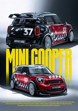 Mini Cooper WRC Rally Cars