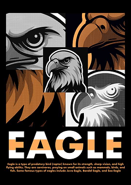 Eagle Illustration Collage