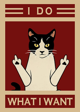 I Do What I Want Cat