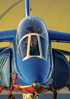Blue and White Fighter Jet Close-Up
