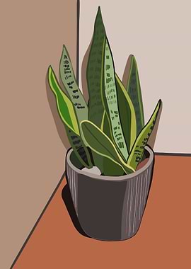 Snake Plant in Pot Illustration