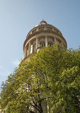 Pantheon Dome with Tree