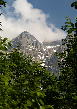 Mountain Peak Through Green Foliage