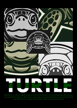Turtle Graphic Art