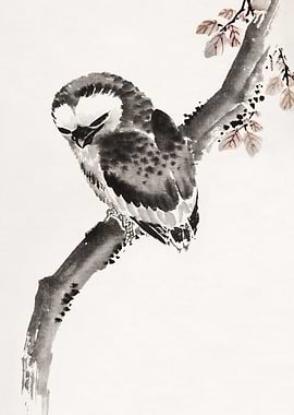 Owl on Branch Ink Painting