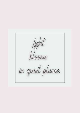 Light Blooms in Quiet Places – Soft Spoken Art