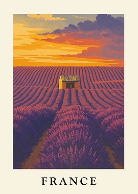 Lavender Field in France at Sunset