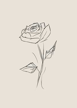 Rose Flower Line Art
