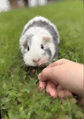 Guinea Pig with Hand on Grass