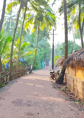 Tropical Village Road with Palm Trees