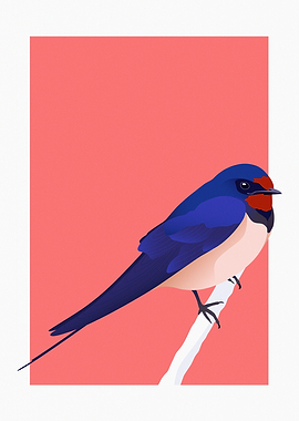 Barn Swallow on Branch