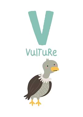 V is for Vulture Illustration