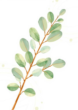 Watercolor Eucalyptus Branch Illustration
