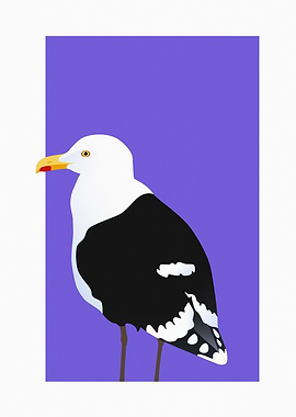 Great Black-Backed Gull
