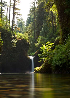 Waterfall in a Lush Green Forest