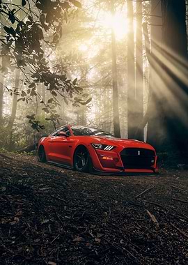 Red Mustang in Forest Sunlight