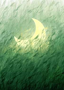 Crescent Moon in Green Grass