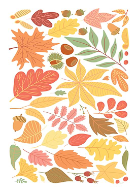 Autumn Leaves and Nuts Illustration