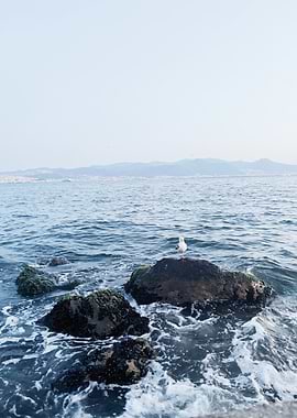 Stillness by the Sea