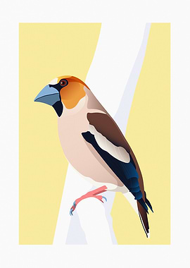 Hawfinch Bird on Branch