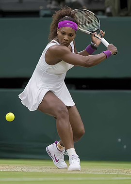 Serena Williams Tennis Action Shot
