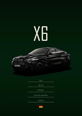 2021 BMW X6