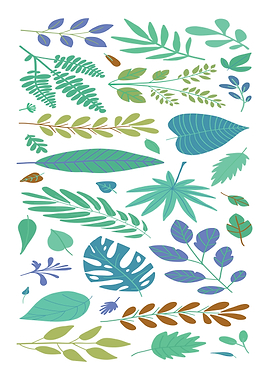 Assorted Leaves Illustration