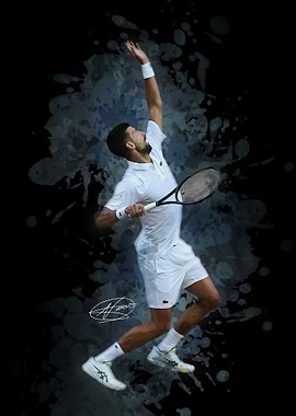 Novak Djokovic Tennis