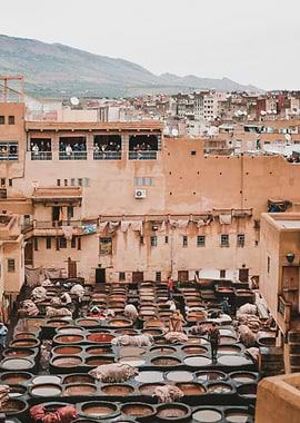 Fez Tannery, Morocco