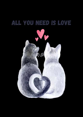 Cats lovers 💕