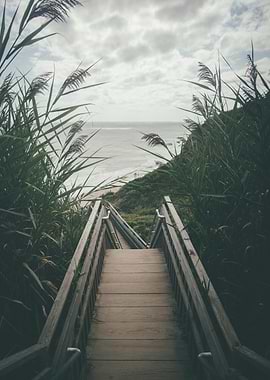 Wooden stairs leading to the beach