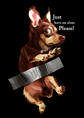 Dog with Duct Tape - Leave Me Alone