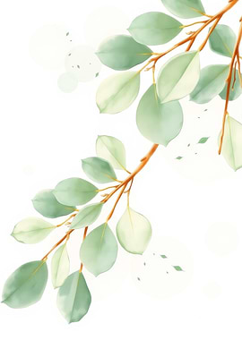 Eucalyptus Branch Watercolor Illustration