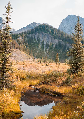 Mountain Landscape with Reflection Pool