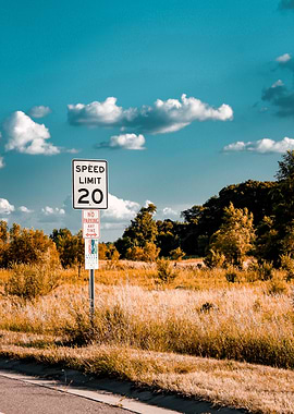 Speed Limit Sign on Forgotten Road