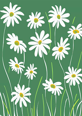 Daisy Flowers on Green Background
