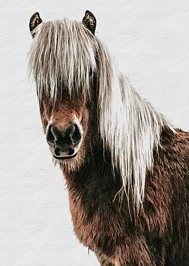 Brown Horse with Blonde Mane Portrait