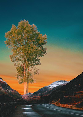 Road through mountains with a tree