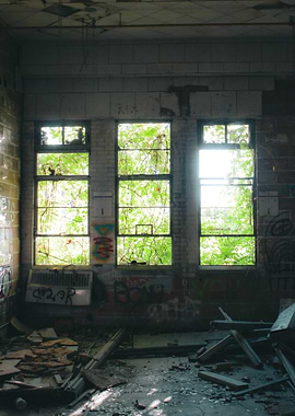 Abandoned Building with Overgrown Windows