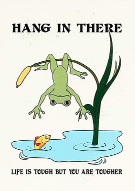 Hang In There Frog and Fish