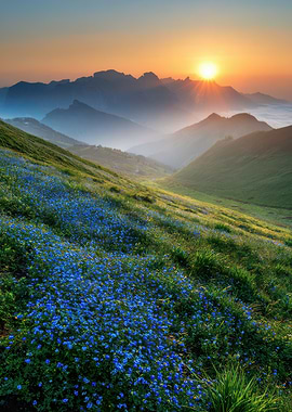 Mountain Sunrise with Blue Flowers