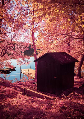 Lakeside Shed in Autumnal Hues