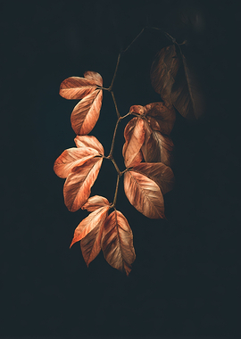 Autumn Leaves on Dark Background