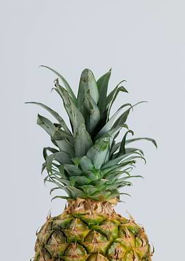 Close-up of a Pineapple