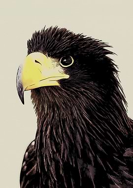 Eagle Portrait